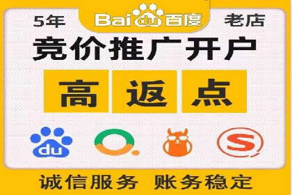 百度SEO推广案例解析与效果评估